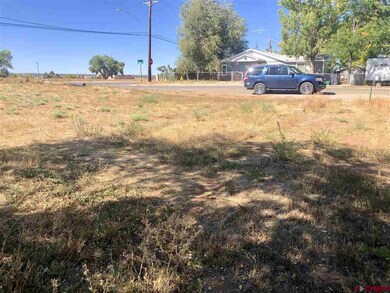 710 N Mildred Rd, Cortez, CO 81321 - photo 2