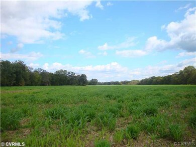 Lot 1 Sabot Island Boscobel Rd, Manakin-Sabot, VA 23103 - photo 4