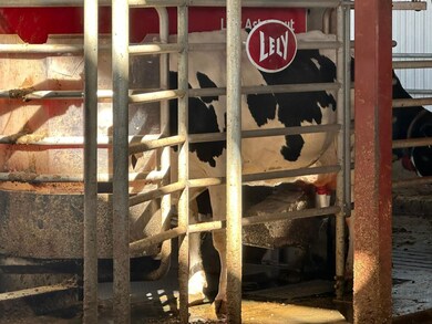 10255 Manning Ave, Fresno, CA 93706 - photo 6