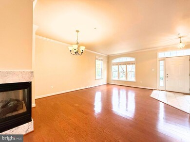 310 Ridgemont Ave, Rockville, MD 20850 - photo 7