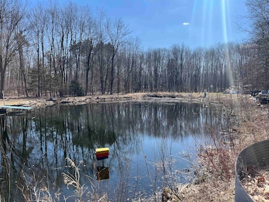 0 Lils Ln, Abrams, WI 54101 - photo 7