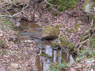 +/-26 Ac Mitchell Farm Rd, Statesville, NC 28625 - photo 7