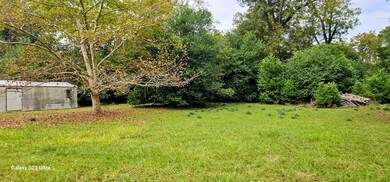 209 Pine St S, Bluffton, GA 39824 - photo 5