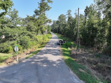 0 Hwy 1045 Hwy unit LotWP003 24553811, Amite, LA 70422 - photo 2