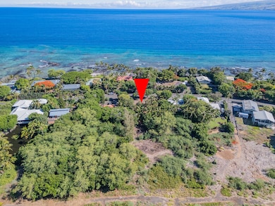This 12,202 sqft property, located on the mauka (mountain) side of Puako Beach Drive.