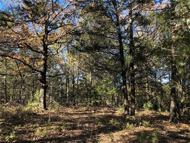 0 Sulphur City & Stokenbury Rd unit 1131158, Elkins, AR 72727 - photo 7