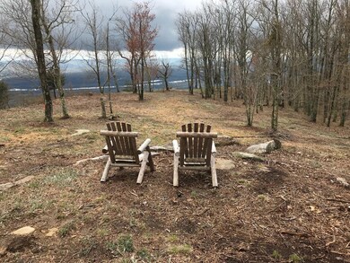 0 Hovering Hawk Dr unit 1332698, Jasper, TN 37347 - photo 6