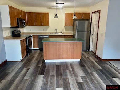 1850 Macintosh Ct, St. Peter, MN 56082 - photo 5