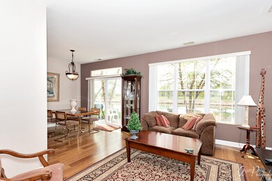 24019 W Pear Tree Cir unit 170206, Plainfield, IL 60585 - photo 5