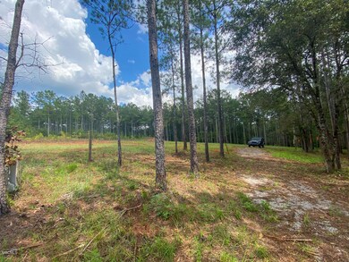 135 Cedar Ridge Rd, Lucedale, MS 39452 - photo 4