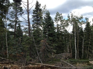 805 & 815 W Shale Cir unit ZVME E 138 & 139, Duck Creek Village, UT 84762 - photo 4