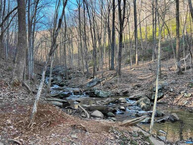 22 Pauls Creek Ct, Nellysford, VA 22958 - photo 6