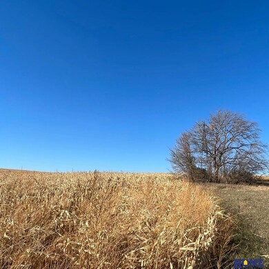 40 Acres County Rd A & County Rd 22, Ceresco, NE 68017 - photo 6
