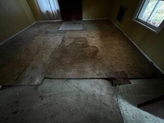 IMG_0262 (2) - Copy