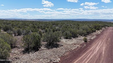 3288/3236 W Cumberland Rd, Williams, AZ 86046 - photo 7