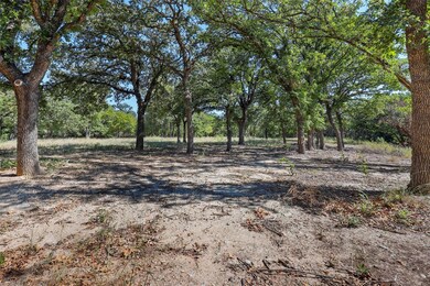 524 Lydia Ln, Granbury, TX 76049 - photo 4