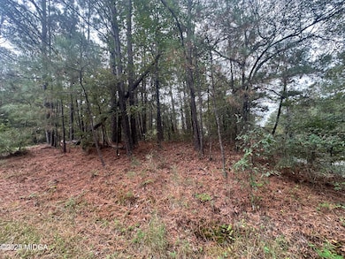 87 Highway 87, Forsyth, GA 31029 - photo 6