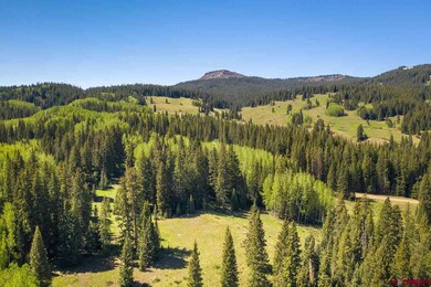 1360 Red Mountain Ranch Upper Loop, Crested Butte, CO 81224 - photo 2