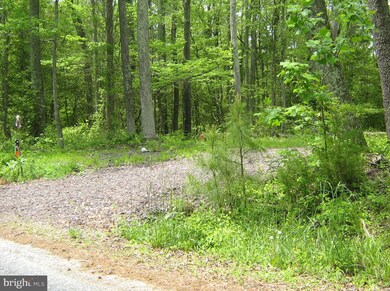 8 Latane Dr, Colonial Beach, VA 22443 - photo 3