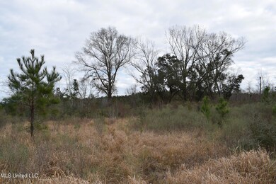 6.50+/- Ac Highway 63 S, Lucedale, MS 39452 - photo 2