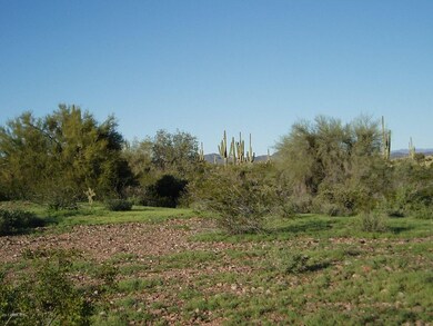 P3010021