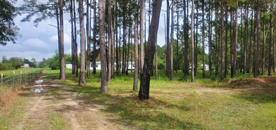 5426 Ione Rd, Pavo, GA 31778 - photo 2