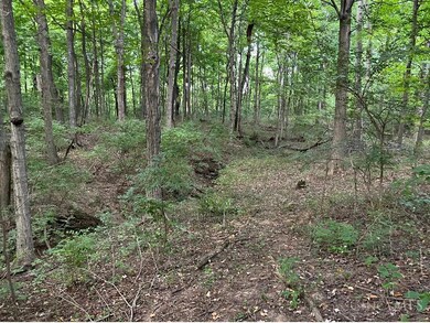 ac Richey Rd, Felicity, OH 45120 - photo 5