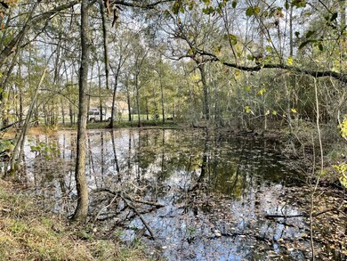 26803 Apache Trail, Magnolia, TX 77354 - photo 3