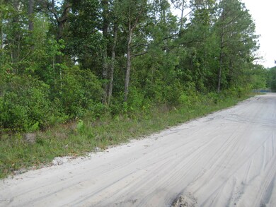 View to the south on Lori Loop