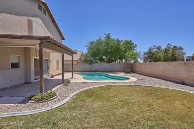 Backyard2