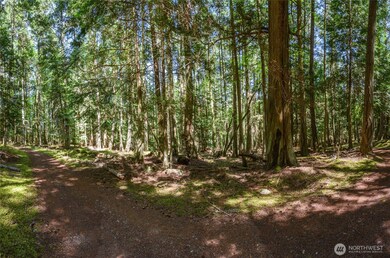 0 Lot 27 Peavine Way, Olga, WA 98279 - photo 6