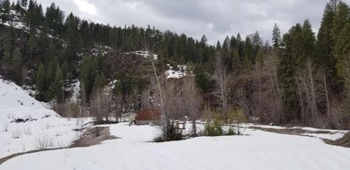 View of Cabin