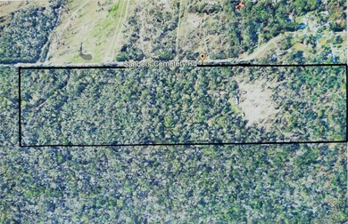 23810 Sanders Cemetary, Magnolia, TX 77355 - photo 3