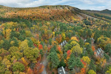 72 Cranmore Woods Ln unit 4, Conway, NH 03860 - photo 5