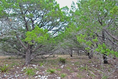 0 Balcones Dr unit 5 82424, Fredericksburg, TX 78624 - photo 5