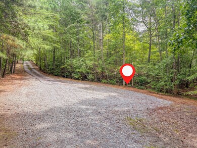 372 Emerald Springs Ln, Ellijay, GA 30540 - photo 5