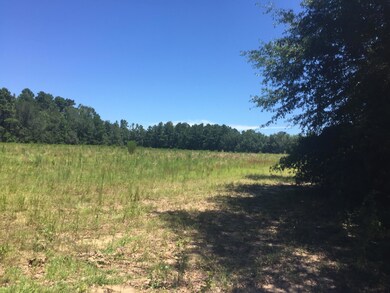 Field view 4
