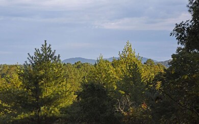 180 Bench Leg Rd, Mineral Bluff, GA 30559 - photo 3