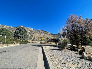 13620 Cedarbrook Ave NE, Albuquerque, NM 87111 - photo 3