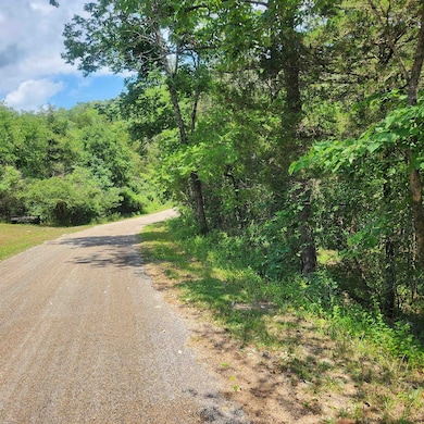 L-25, B-13A Altakima Trace, Cherokee Village, AR 72529 - photo 4