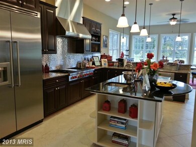 20376 Stone Fox Ct, Leesburg, VA 20175 - photo 6