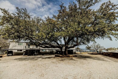 This majestic oak tree will greet you every time y