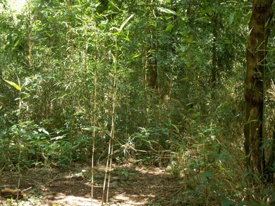 0 Slink Shoals Rd unit RTC2546107, Linden, TN 37096 - photo 2