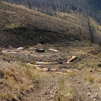 00 Cuddy Mountain Mineral Land, Cambridge, ID 83610 - photo 4
