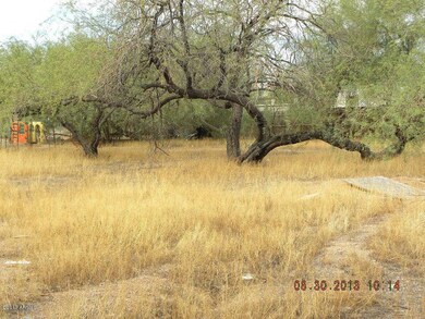 BIG back yard