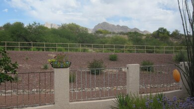 Backyard killer view