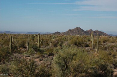 Saguaros on AZ State Land