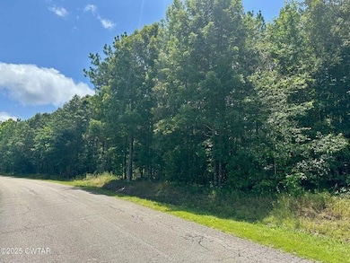 0 Moonshine Loop, Lexington, TN 38351 - photo 3