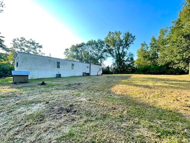 6136 Highway 43 N, Poplarville, MS 39470 - photo 3