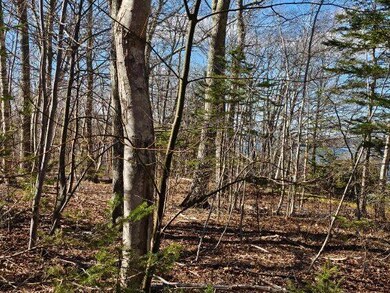 00 Cindy Cir, Boothbay, ME 04537 - photo 2